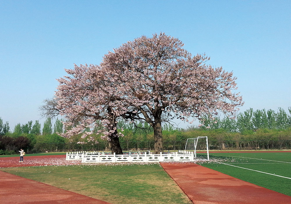 山東女子學院 我的大學
