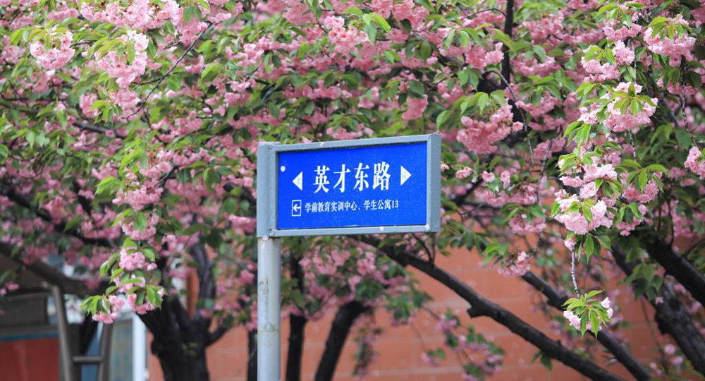 時光匆匆，歲月如歌！——珍惜自己最美好的時光，珍惜時下，放肆而不張揚的青春年華。