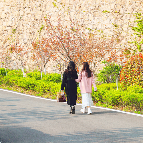 大學簡介