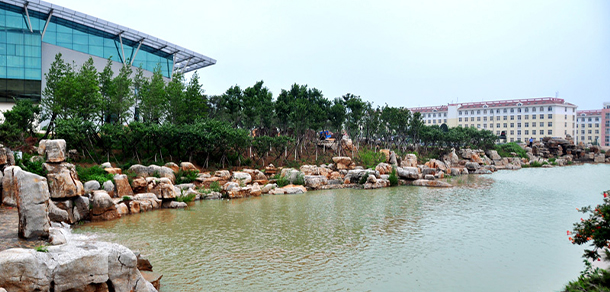 我的大學-大學志
