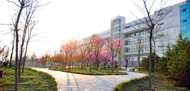 我的大學-大學志