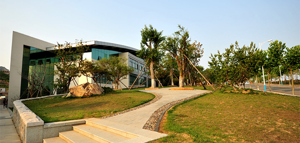 我的大學-大學志