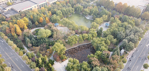 我的大學(xué)-大學(xué)志