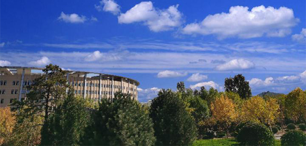 我的大學(xué)-大學(xué)志