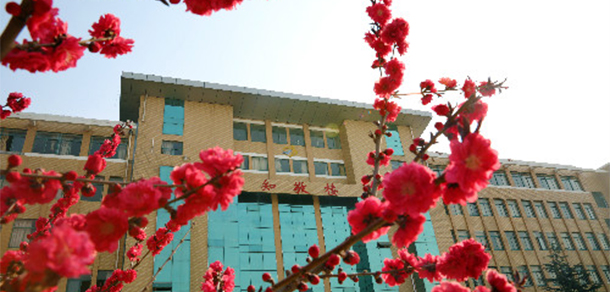 我的大學(xué)-大學(xué)志