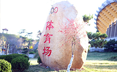 歷史沿革(概)校史