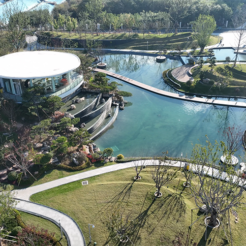 青島科技大學(xué)-流金歲月