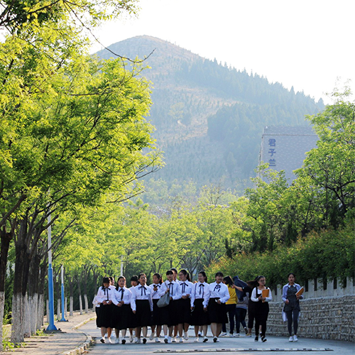 我的大學(xué)