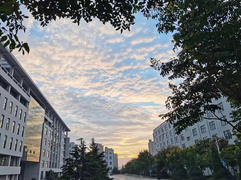 青島工學院 我的大學