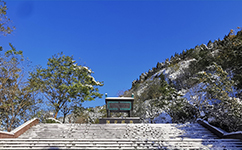 歷史沿革(概)校史