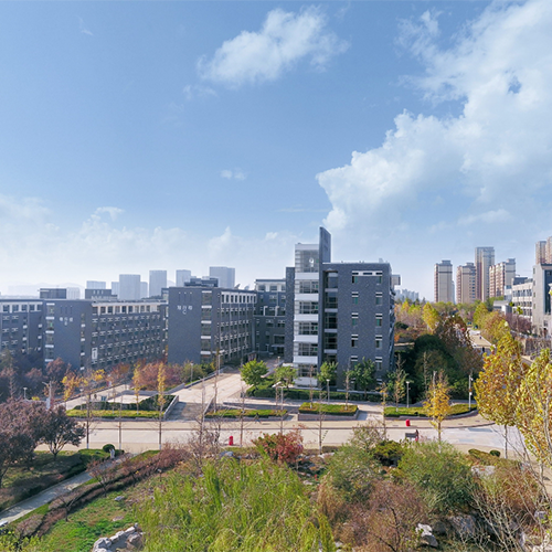 我的大學(xué)