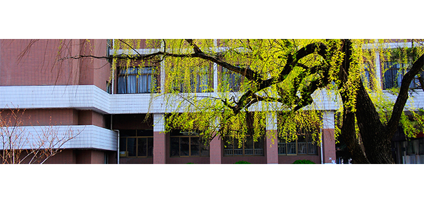 我的大學-大學志