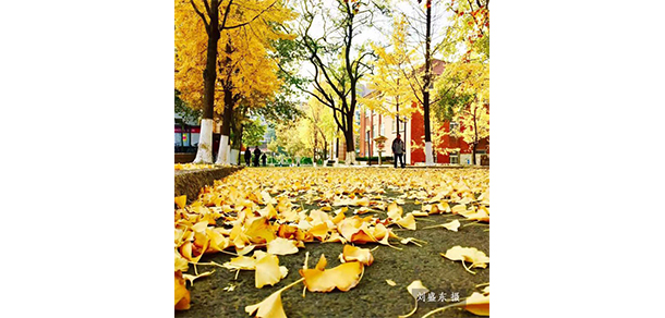 我的大學-大學志