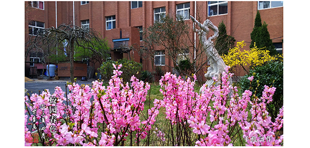 我的大學-大學志