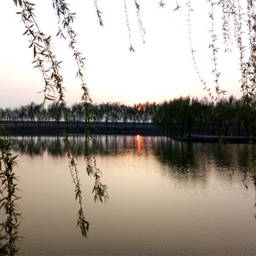 大學(xué)志