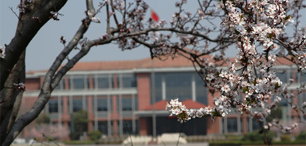 我的大學-大學志