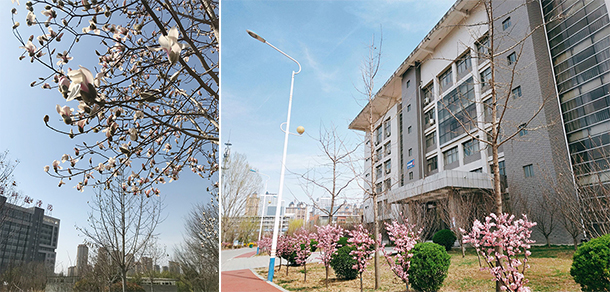 我的大學(xué)-大學(xué)志