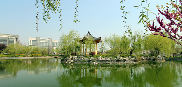 我的大學(xué)-大學(xué)志