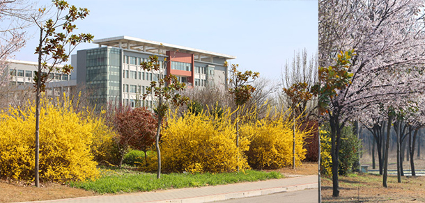 我的大學(xué)-大學(xué)志