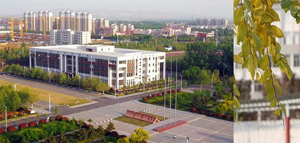 我的大學(xué)-大學(xué)志