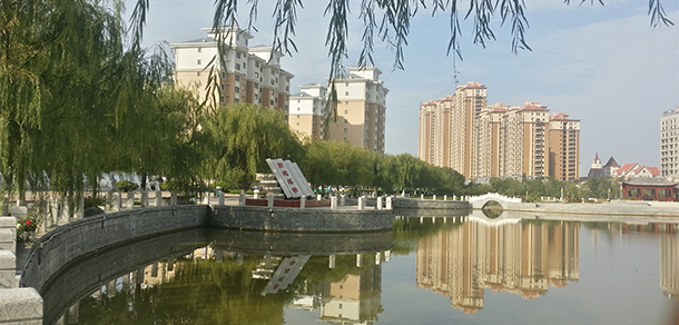 我的大學(xué)-大學(xué)志