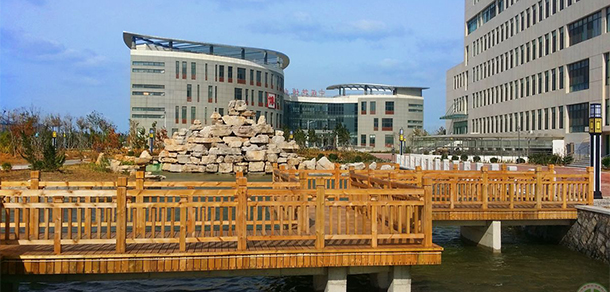 我的大學(xué)-大學(xué)志