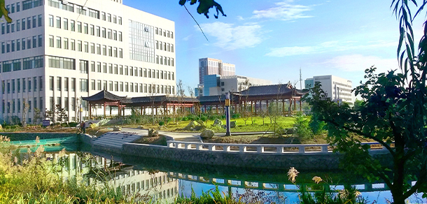我的大學(xué)-大學(xué)志