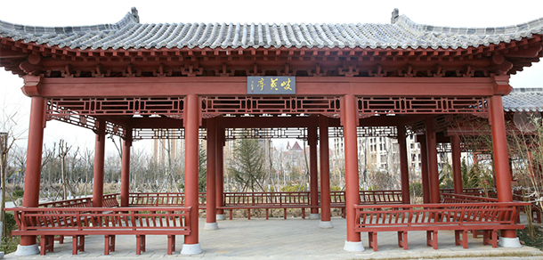 我的大學(xué)-大學(xué)志
