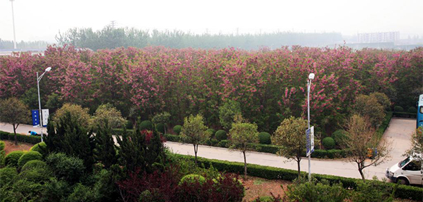 我的大學(xué)-大學(xué)志