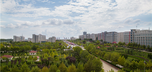 我的大學-大學志