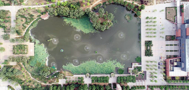 我的大學(xué)-大學(xué)志