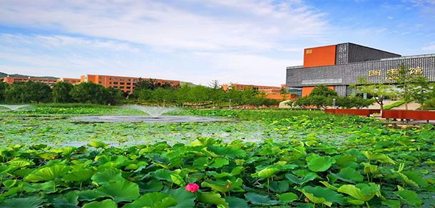 我的大學(xué)-大學(xué)志