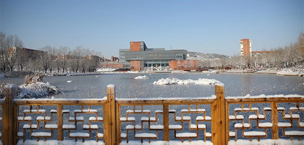 我的大學(xué)-大學(xué)志