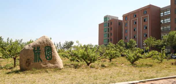 我的大學(xué)-大學(xué)志