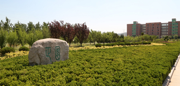 我的大學(xué)-大學(xué)志