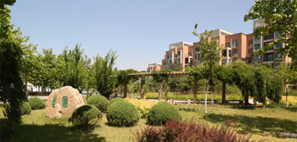 我的大學(xué)-大學(xué)志