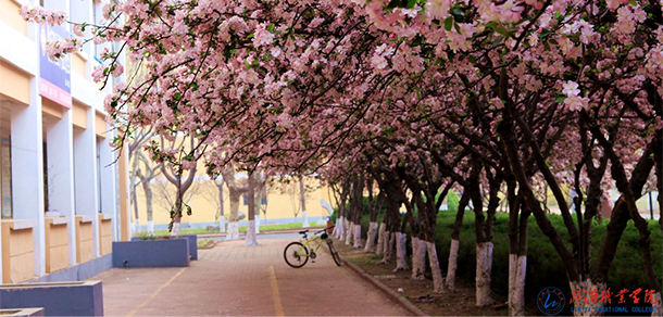 我的大學-大學志