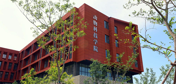 我的大學(xué)-大學(xué)志