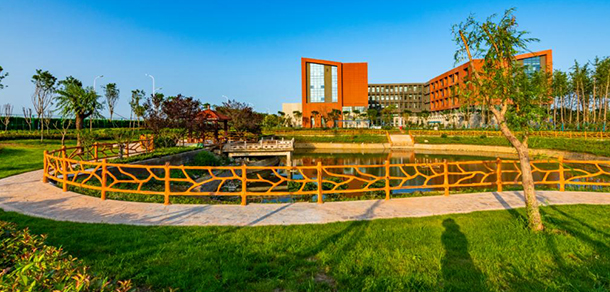我的大學(xué)-大學(xué)志