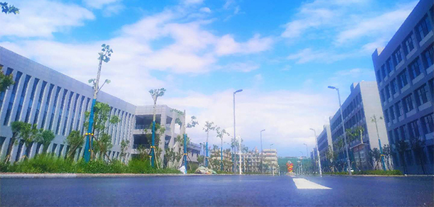 我的大學(xué)-大學(xué)志