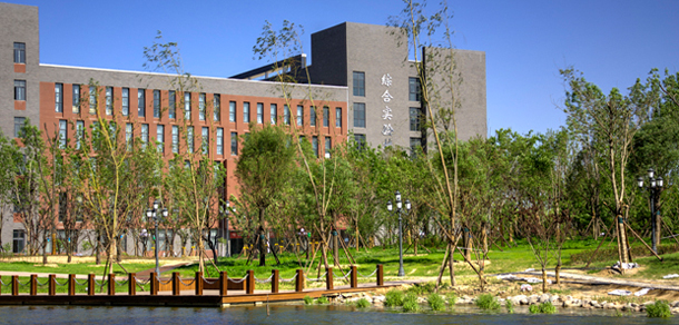 我的大學(xué)-大學(xué)志