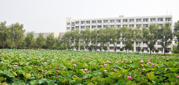 我的大學(xué)-大學(xué)志