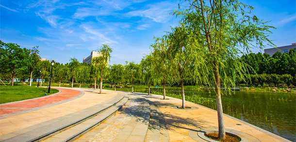我的大學(xué)-大學(xué)志