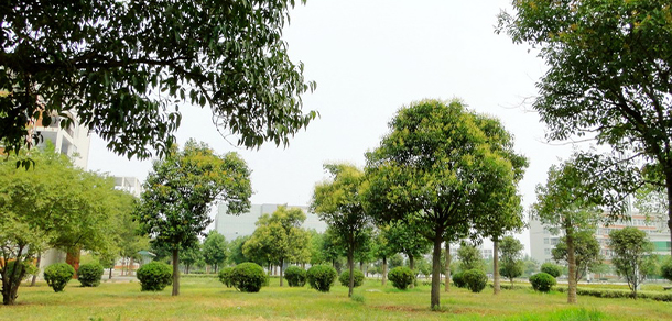 許昌職業(yè)技術(shù)學院 - 最美大學