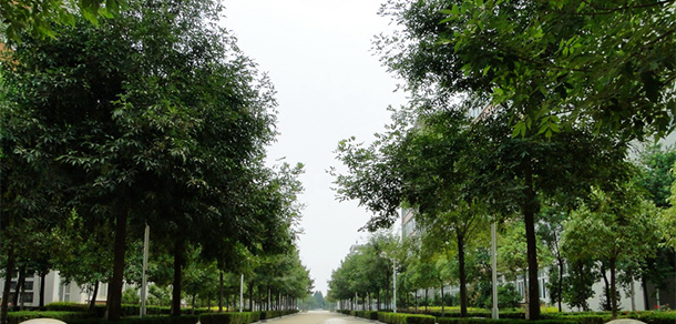許昌職業(yè)技術(shù)學院 - 最美大學