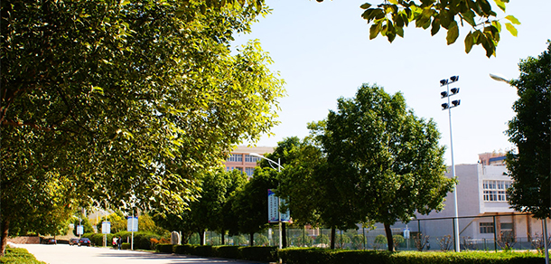 平頂山工業(yè)職業(yè)技術(shù)學院 - 最美大學