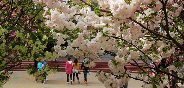 平頂山工業(yè)職業(yè)技術(shù)學院 - 最美大學