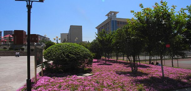 平頂山工業(yè)職業(yè)技術(shù)學院 - 最美大學