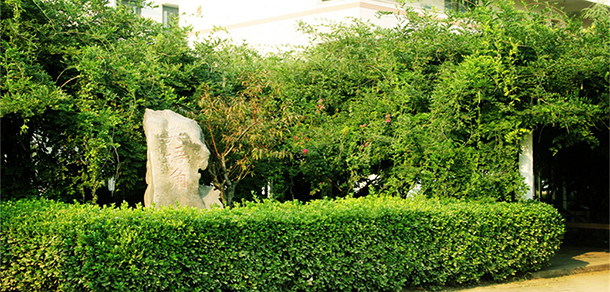 鄭州澍青醫(yī)學(xué)高等?？茖W(xué)校 - 最美大學(xué)