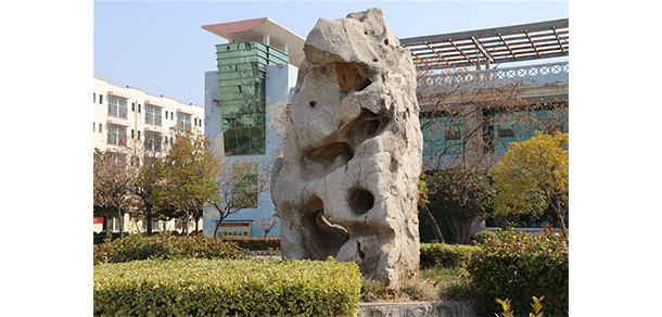 我的大學(xué)-大學(xué)志